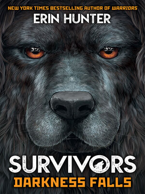 cover image of Survivors Book 3: Darkness Falls